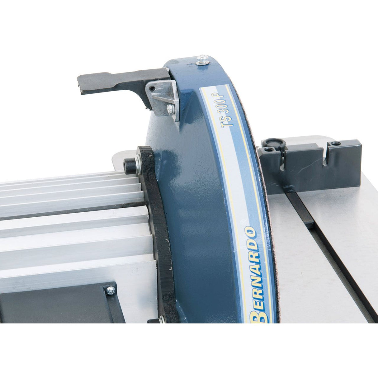 BERNARDO Tellerschleifmaschine – Modell TS 300 P / 230 V