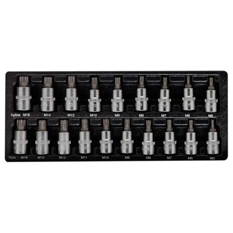 Deltach 1/2" Steckschlüsselsatz Vielzahn/ Reibe, 19-teilig, S-Modul 127000