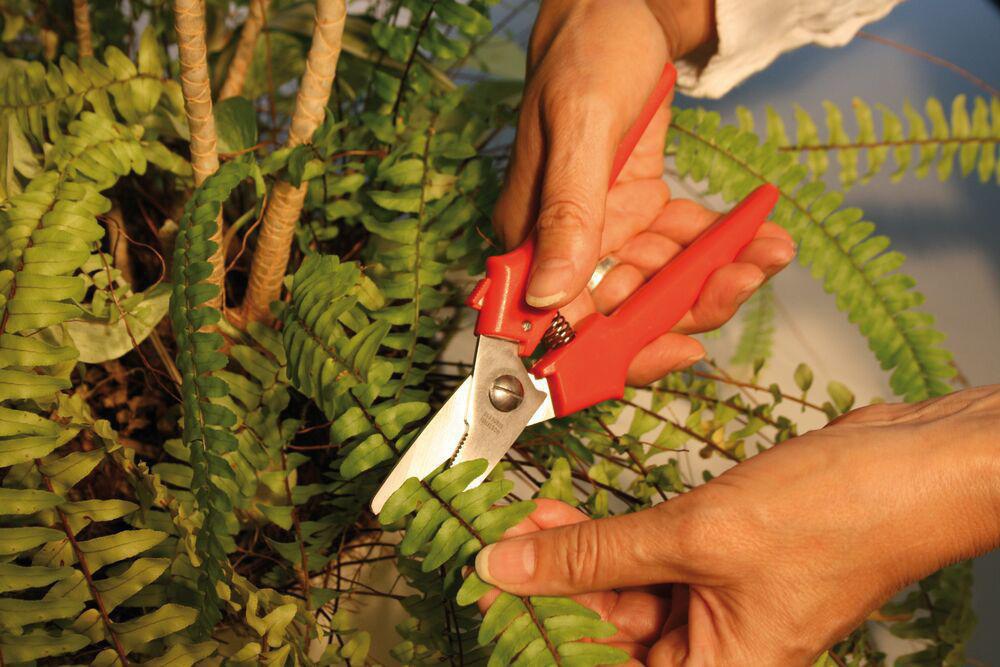 BESSEY Kombischere ERDI 5,5″ mit gerader Klinge und 31 mm Schnittlänge