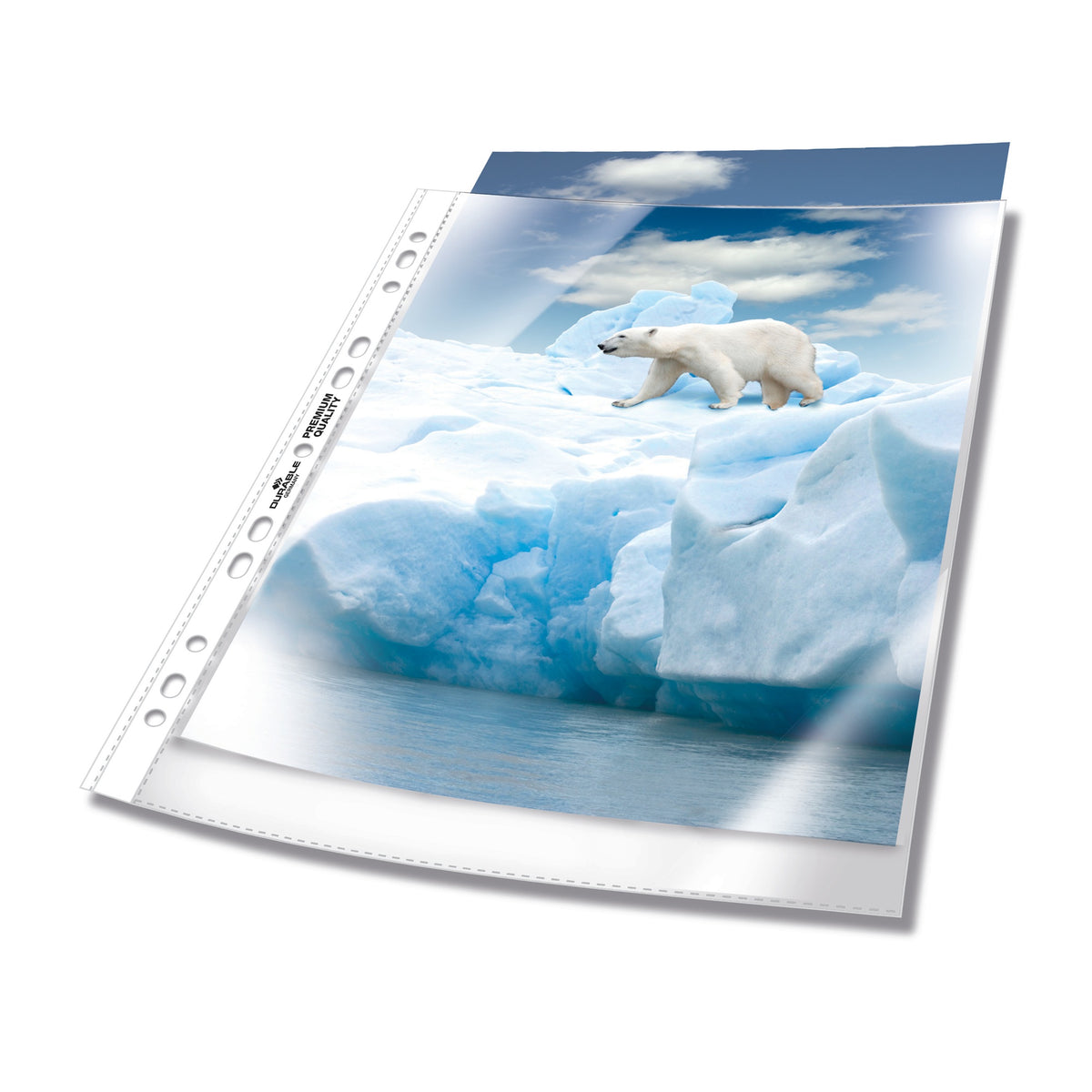 DURABLE Prospekthülle PREMIUM glasklar für Format A4, 235x15 mm, mit Lochrandverstärkung