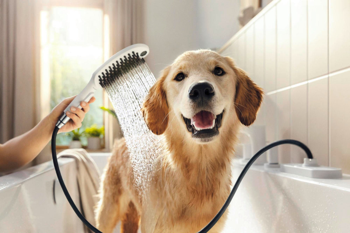 HANSGROHE DogShower 150 Hundeduschbrause mit 3 Strahlarten und Select-Taste