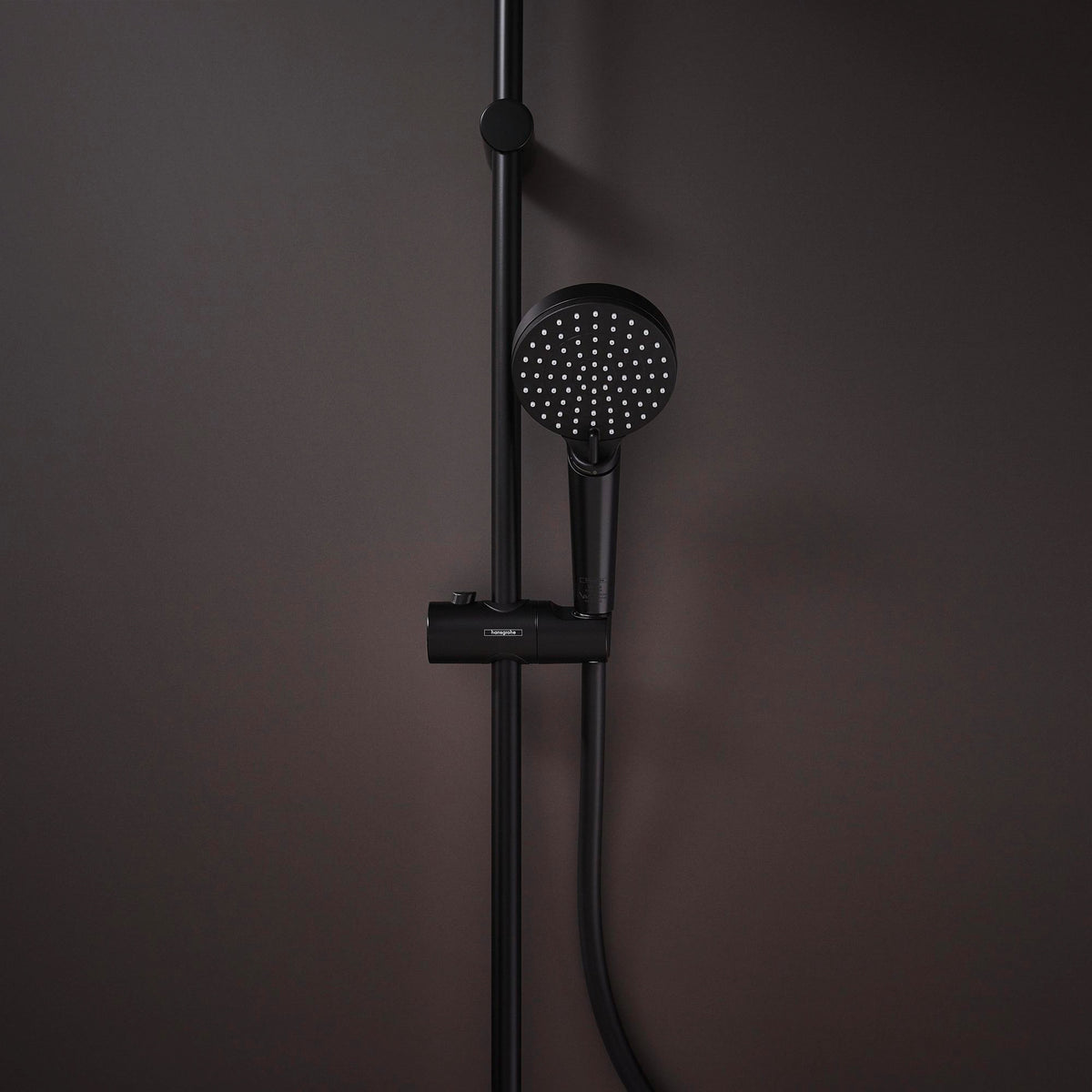 HANSGROHE HG Handbrause VERNIS Blend Vario Green chrom – 2 Strahlarten, QuickClean, 5,4 l/min