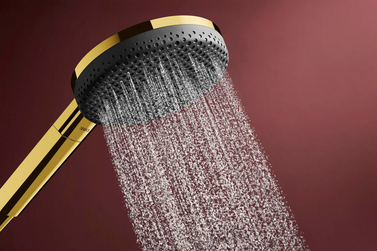 HANSGROHE Raindance Alive Select S 125 3jet Handbrause mit Select-Taste und QuickClean