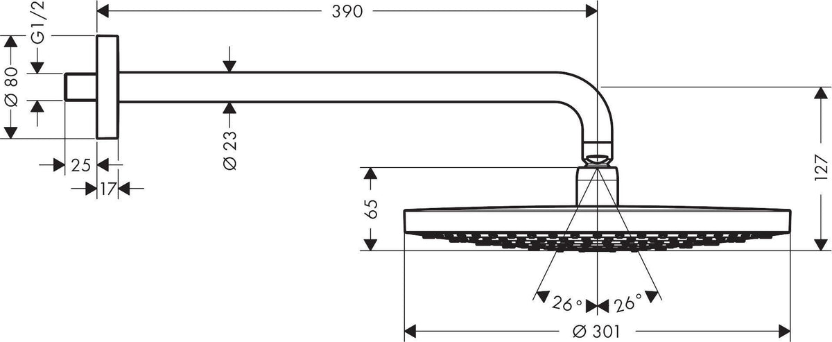 Hansgrohe Raindance Select S 300 Kopfbrause 2jet DN15 mit 390 mm Brausearm, chrom