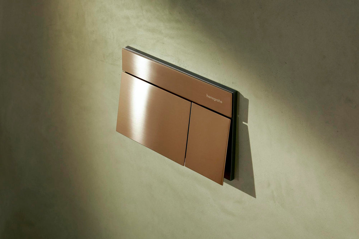 Hansgrohe iFrame Element E Betätigungsplatte mit 2-Mengen-Spülung, Metall, gebürstet