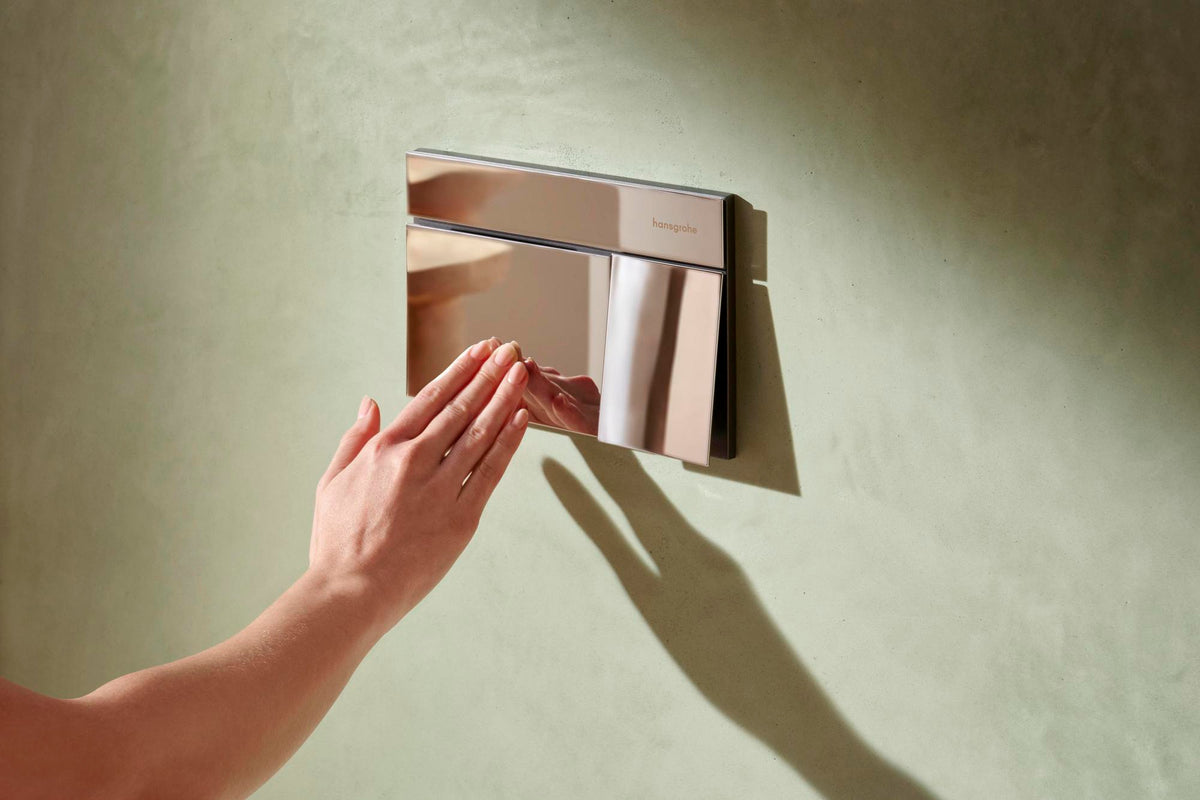 Hansgrohe iFrame Element E Betätigungsplatte mit 2-Mengen-Spülung, Metall, gebürstet