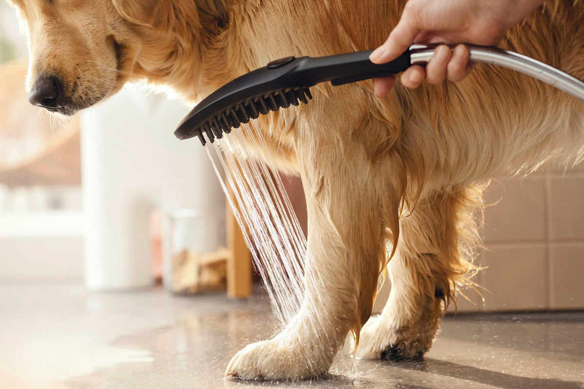 HANSGROHE DogShower 150 Hundeduschbrause mit 3 Strahlarten und Select-Taste