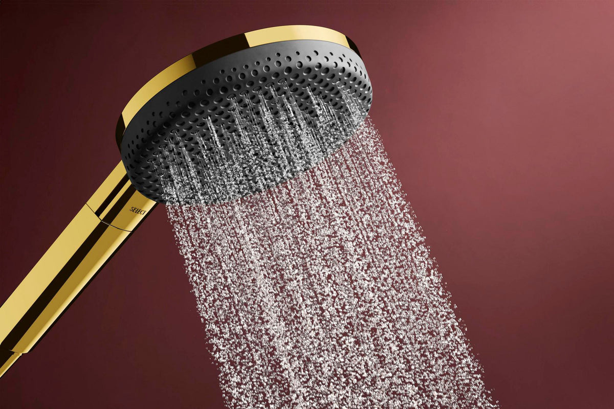 HANSGROHE Raindance Alive Select S Brauseset 125 mm 3 Strahlarten EcoSmart