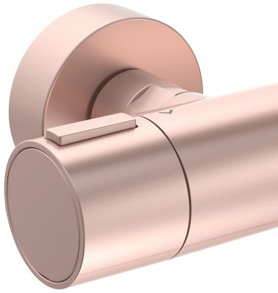 IDEAL STANDARD Ceratherm Alu+ Brausegarnitur 600 mm mit Thermostat, Handbrause 2-Funktion und Seifenschale