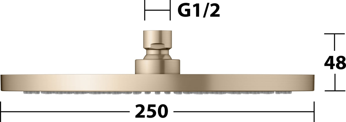 KEUCO Kopfbrause rund 250 mm Bronze gebürstet – Edle Duschkopf-Brause