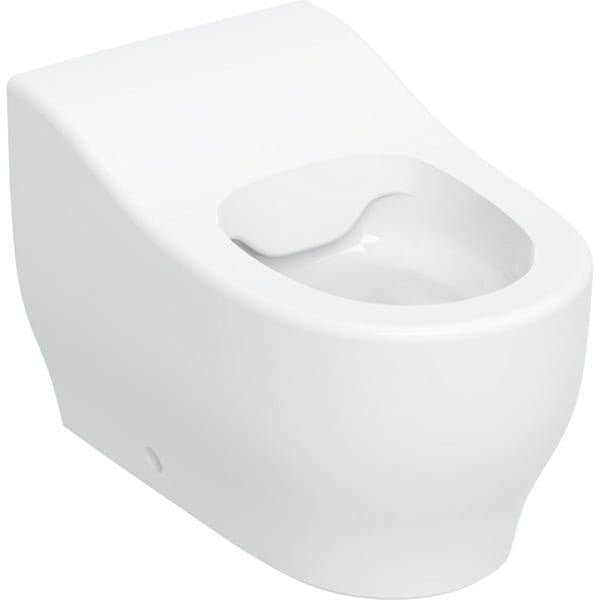 GEBERIT Bambini Stand-WC für Kleinkinder, Tiefspüler, Rimfree, weiß, H 24 cm