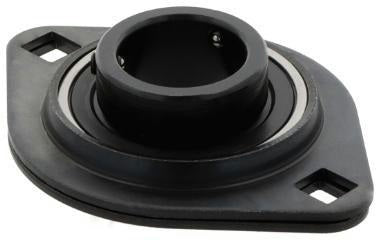 RHP Flanschlager-Gehäuseeinheit AELPFL205 25 mm oval – 2-Loch, Gewindestifte