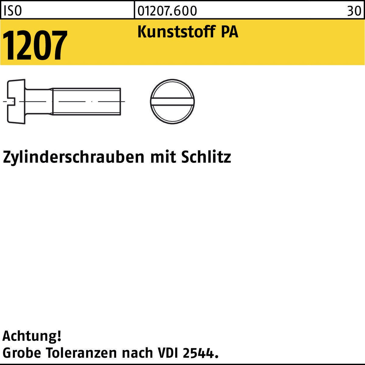 F. REYHER Zylinderschraube ISO 1207 Schlitz M2,5x6 aus Polyamid