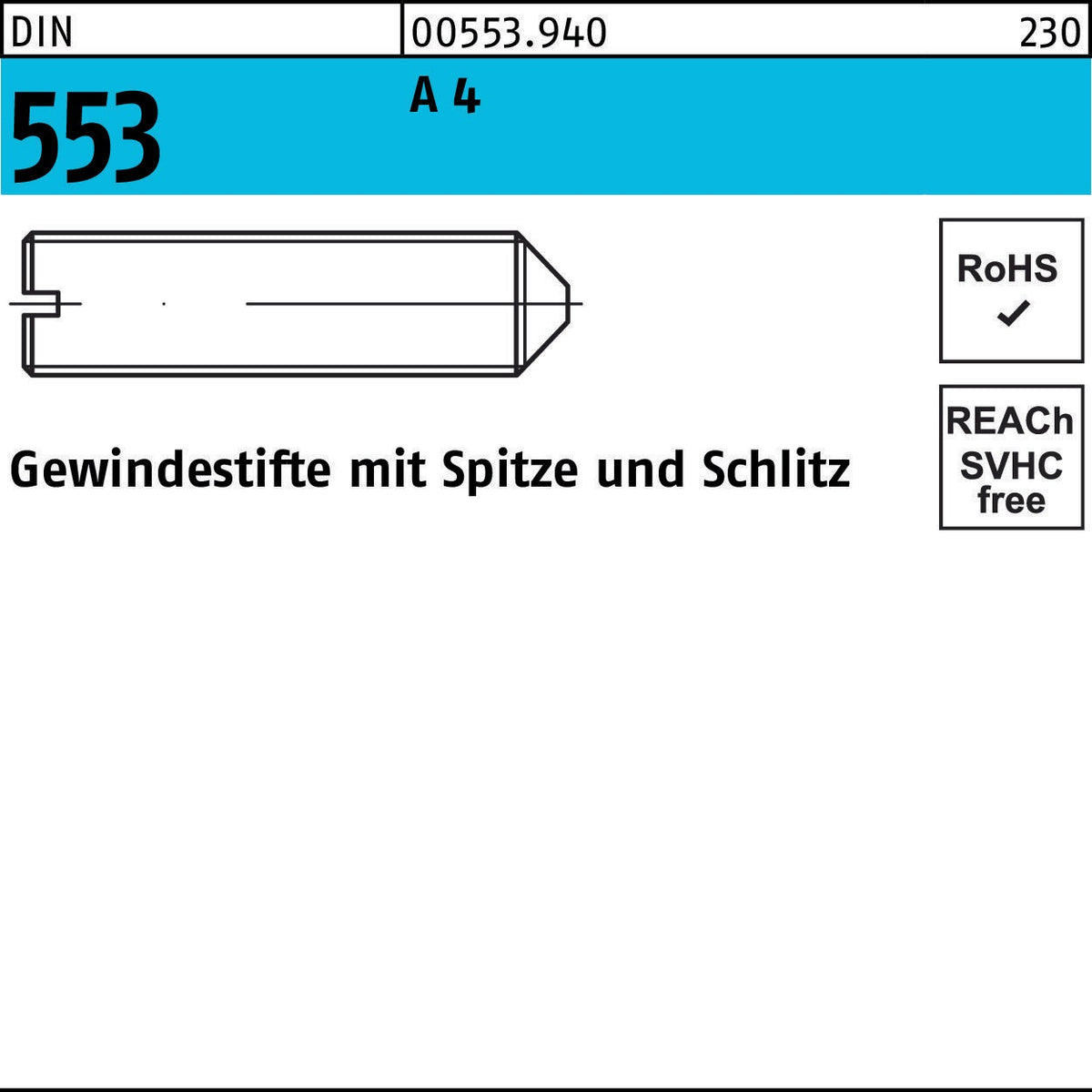 F. REYHER Gewindestift DIN 553 mit Schlitz und Spitze M5 x 16 mm A4 – 25 Stück