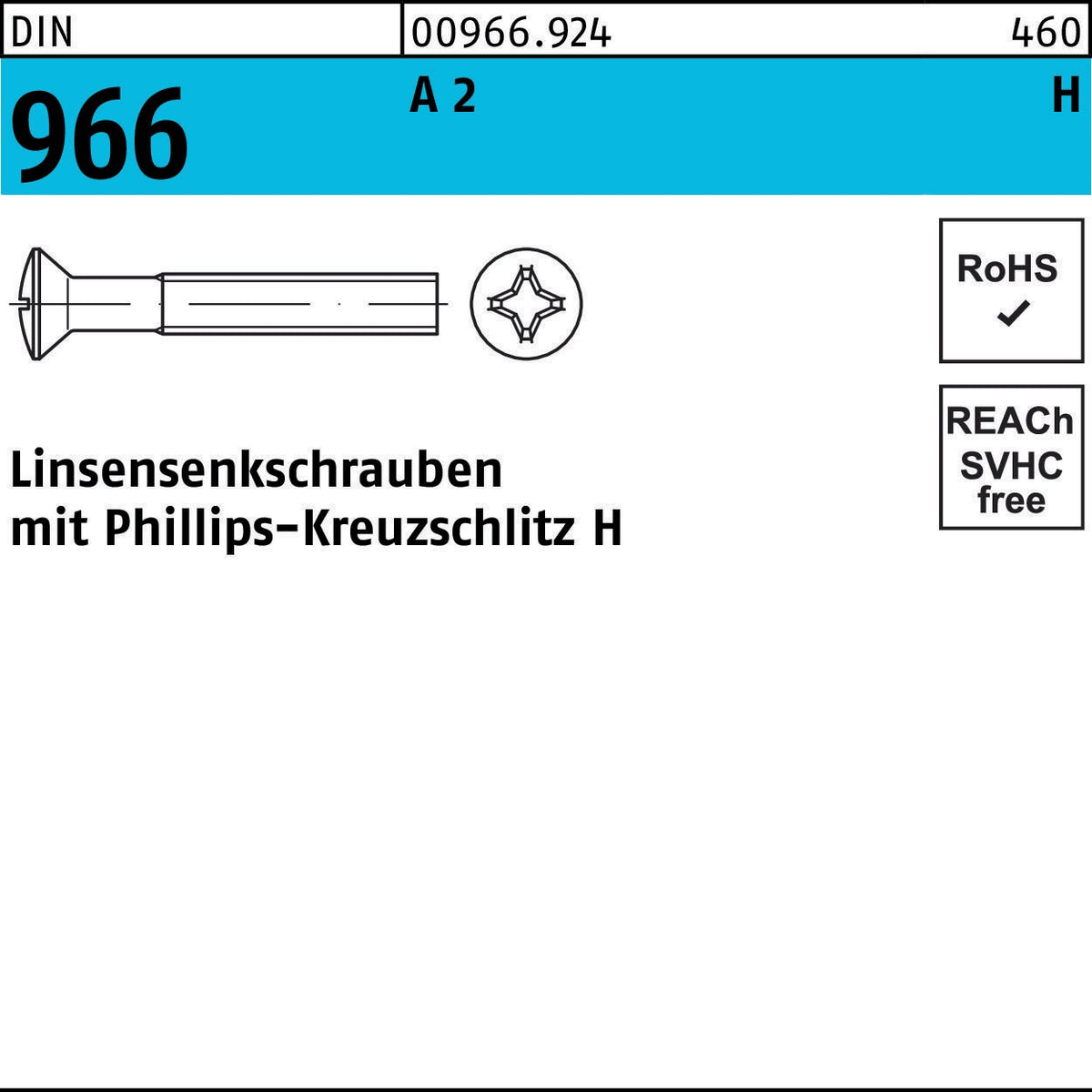 F. REYHER Linsensenkschraube DIN 966 Kreuzschlitz PH M2,5x4 mm A2 – 1000 Stück