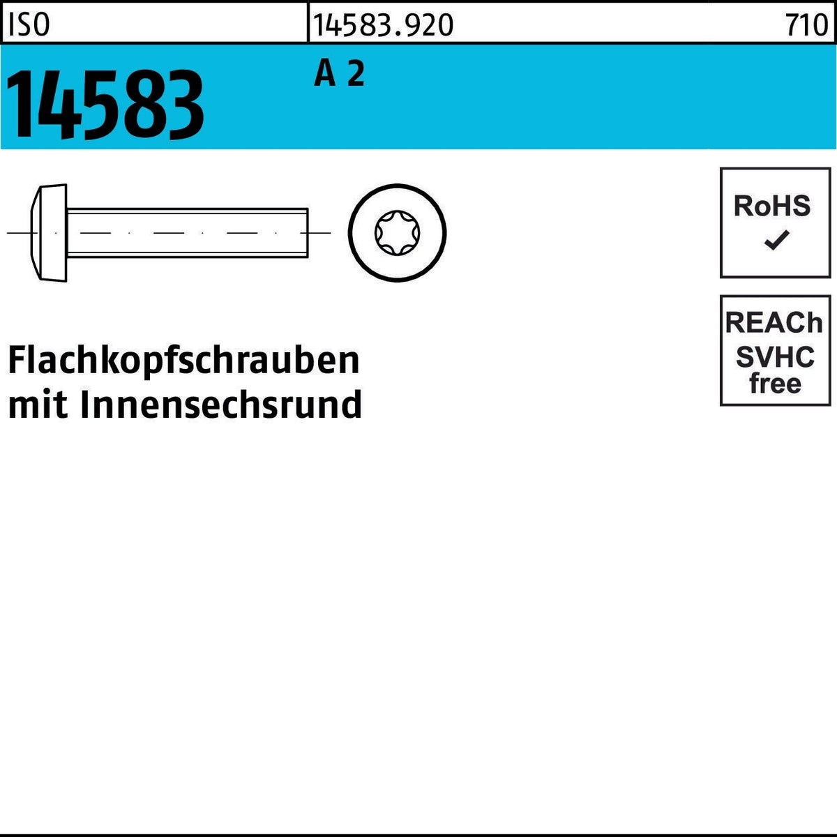 F. REYHER Flachkopfschraube ISO 14583 ISR M4x35 A2 500 Stück