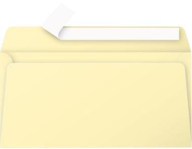 Clairefontaine Briefumschlag Pollen® DL grün 20 Stück 120 g/m² ohne Fenster