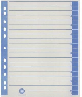 Trennblatt RC Karton 9541101100 A4 chamois/grün 100 St./Pack.