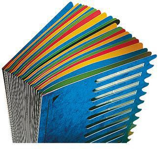 LEITZ Ordnungsmappe Deskorganizer Color 59140035 – 24 Fächer, blau, DIN A4