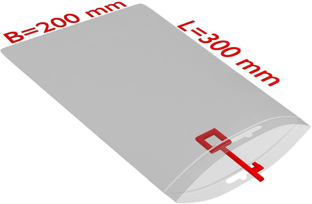 TRANSPAK Druckverschlussbeutel mit Eurolochung 100x150mm, 50µm PE transparent