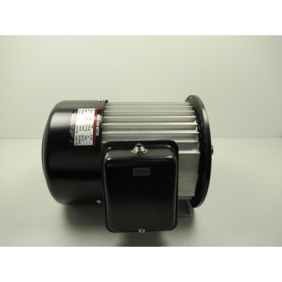 Holzkraft Motor TS 300 / 230V / 0,75kW mit Motorbremse, ab Bj. 2012!!! - Art. 0590030003