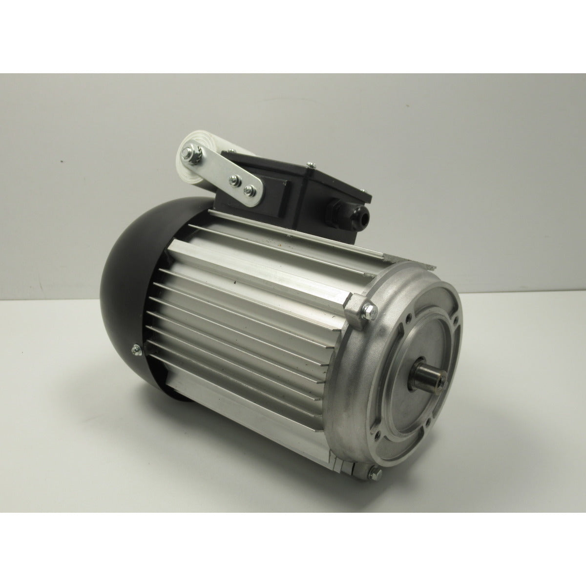 Holzstar Motor FKS 250,255-1300 / 230V - Art. 05902030152