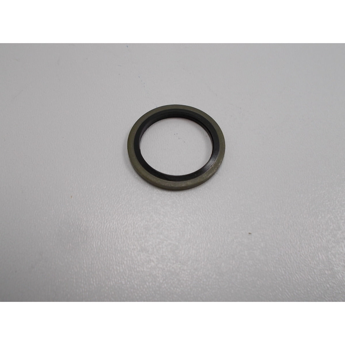 Holzkraft Dichtring HSE 13/18/25-1100 für M22 - Art. 0598133002