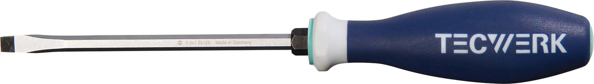 TECWERK Schlitzschraubendreher Schneidenbreite 5,5 mm, Sechskantklinge 100 mm, 3K-Griff