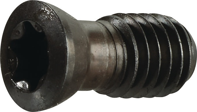 TECWERK Spannschraube US 4511 T20 für SEKT/SEET 1204 Planfräser