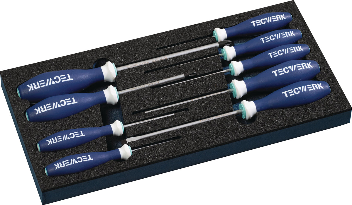 TECWERK Werkzeugmodul 9-tlg. Schraubendreher-Set Schlitz & Kreuzschlitz PH0-3 im 1/3-Modul