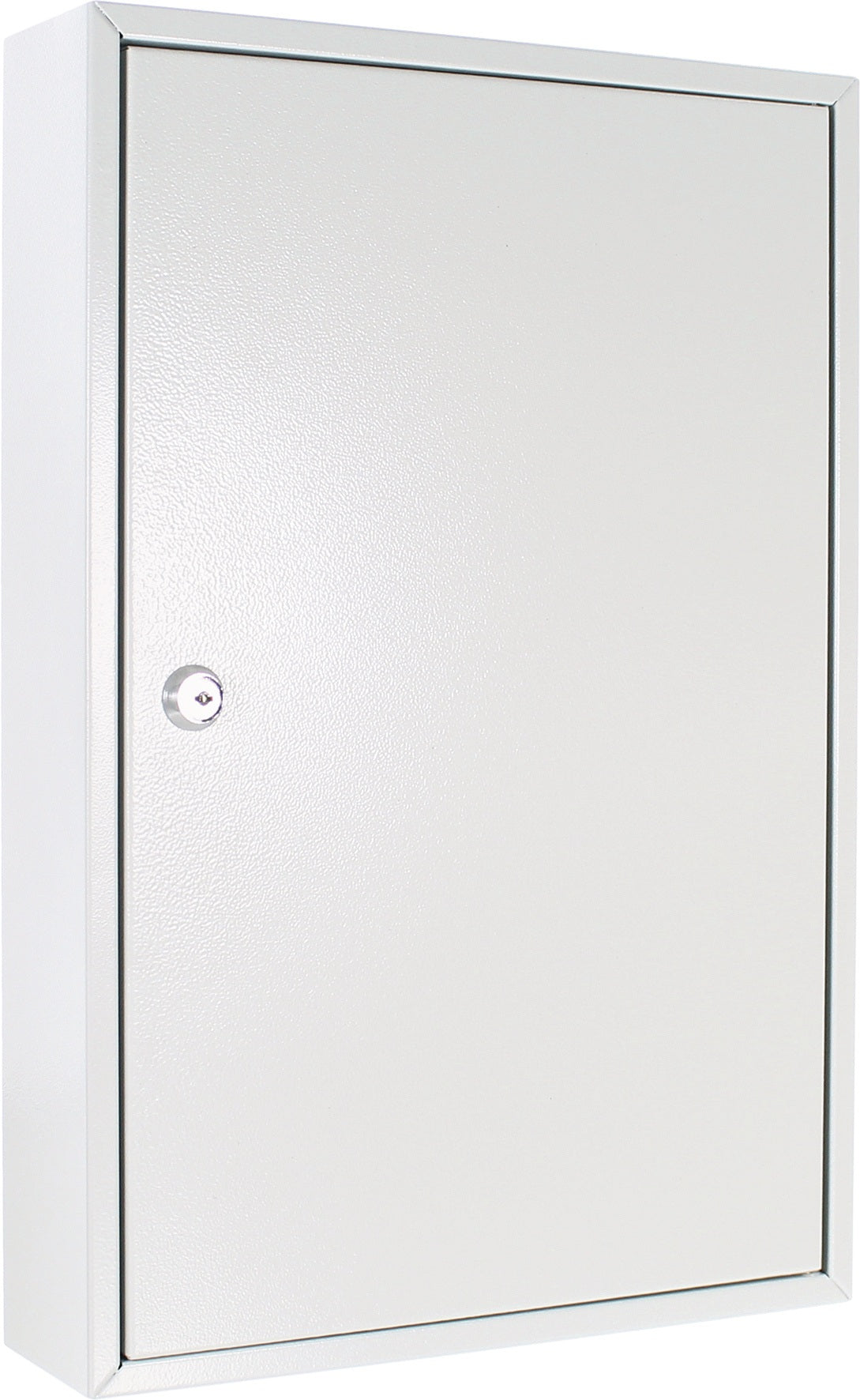 ROTTNER Schlüsselschrank S 50, 1-türig, Zylinderschloss, 50 Haken, lichtgrau, Stahlblech