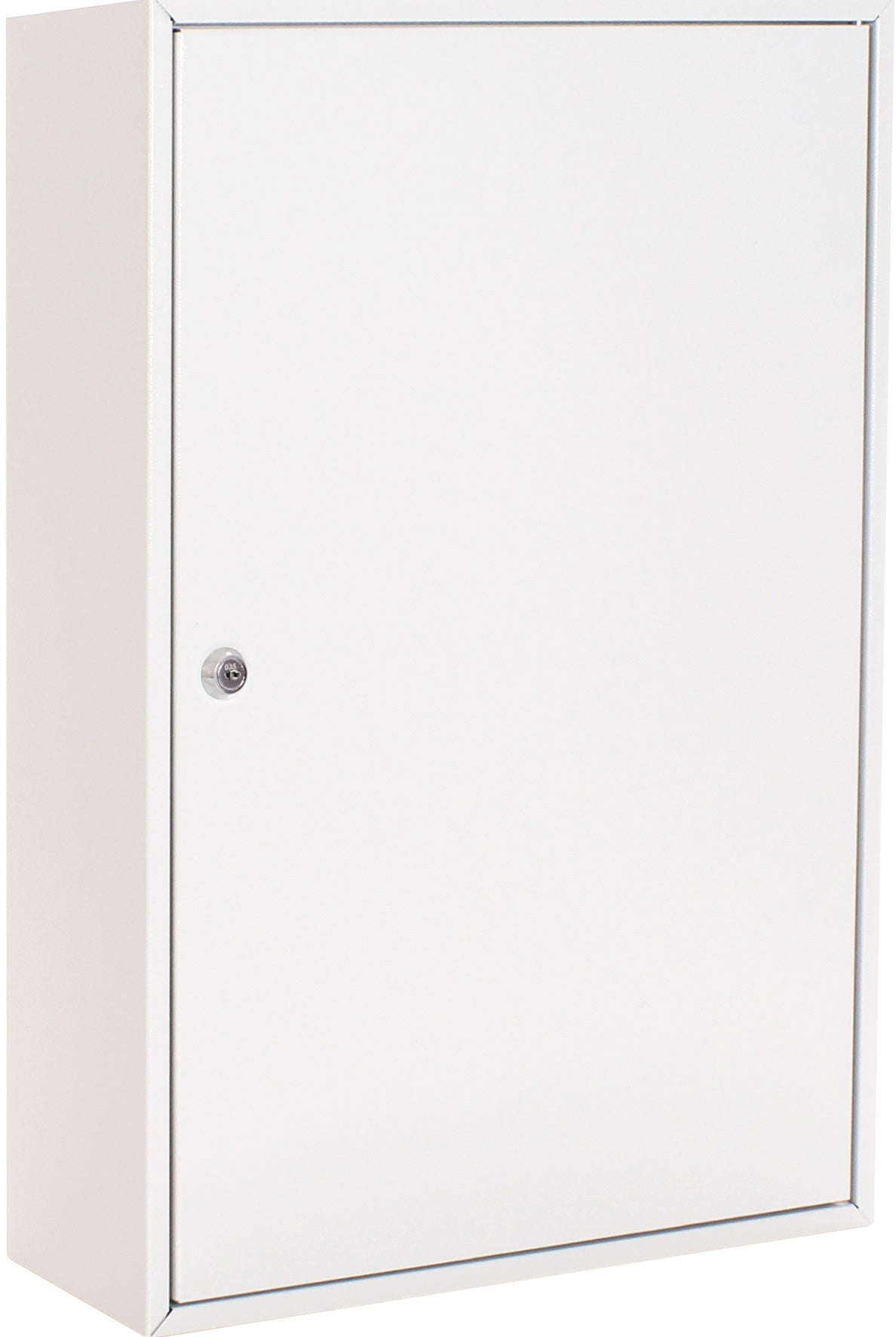 ROTTNER Schlüsselschrank S 50, 1-türig, Zylinderschloss, 50 Haken, lichtgrau, Stahlblech