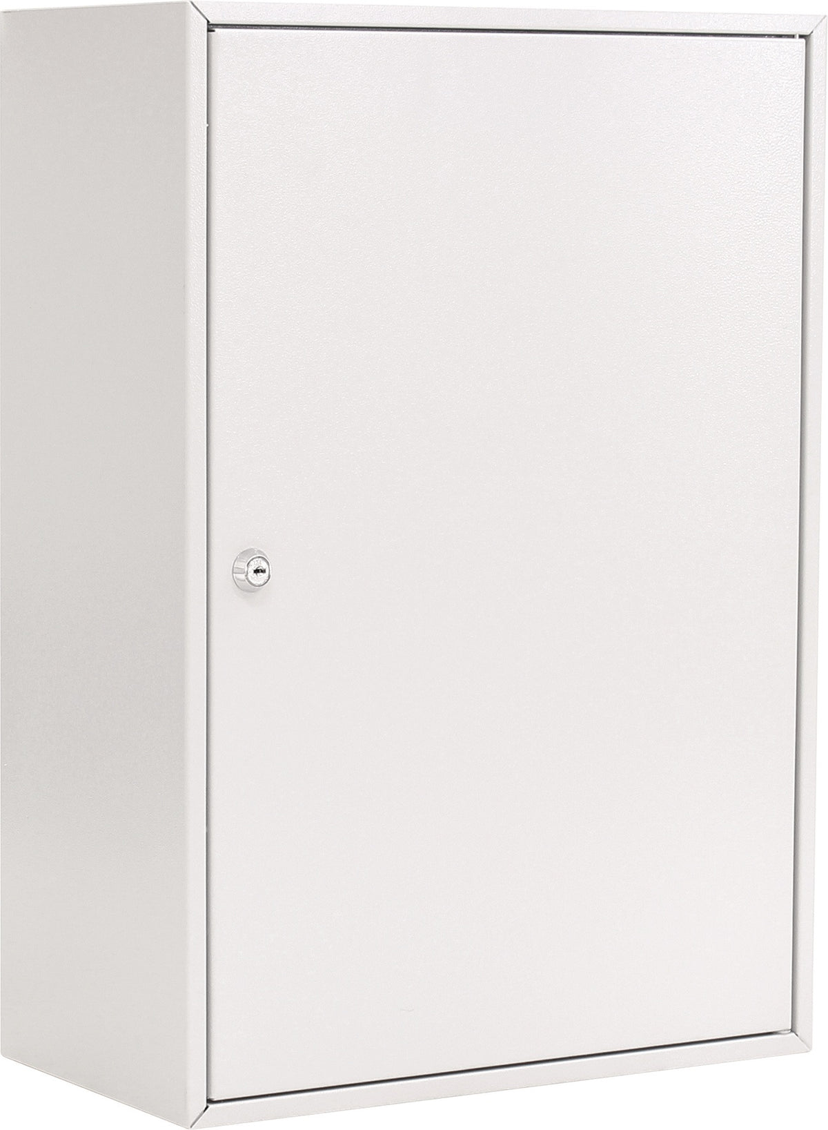 ROTTNER Schlüsselschrank S 50, 1-türig, Zylinderschloss, 50 Haken, lichtgrau, Stahlblech