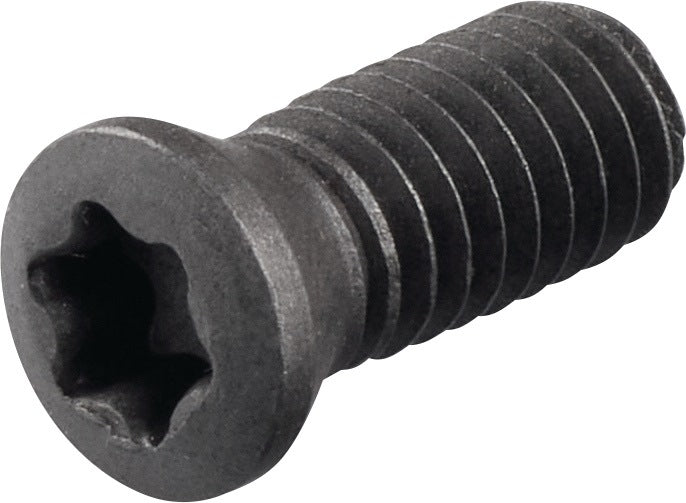 PROMAT Spannschraube WS0410 Gr. T15 – Ersatzteil für Klemmhalter & Bohrstangen