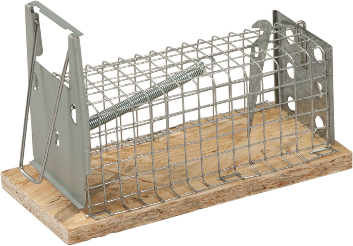 Drahtkäfig-Mausefalle Lebendfalle 95x50 mm FREUND VICTORIA – Tierfreundliche Mausefalle mit 1 Eingang