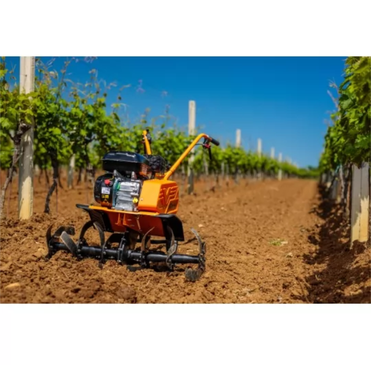 Villager VTB 8511 V - Motorhacke mit 212 cm³ Motor, 85 cm Arbeitsbreite & Rückwärtsgang- VI-060279