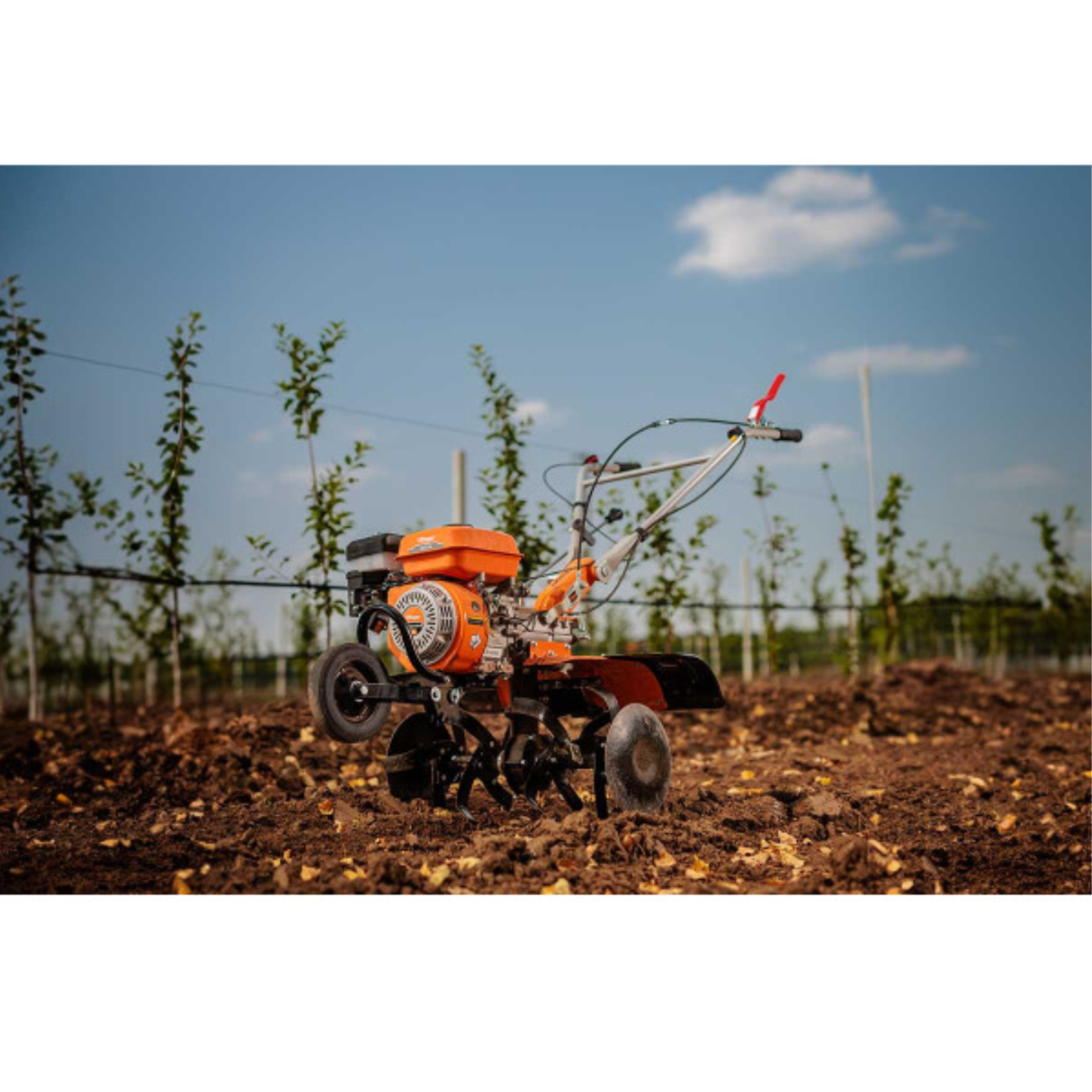 Villager Benzin-Motorhacke - 212 cm³, 85 cm Arbeitsbreite, 6 Messer, 2+1 Gänge, Direktantrieb- VI-086195