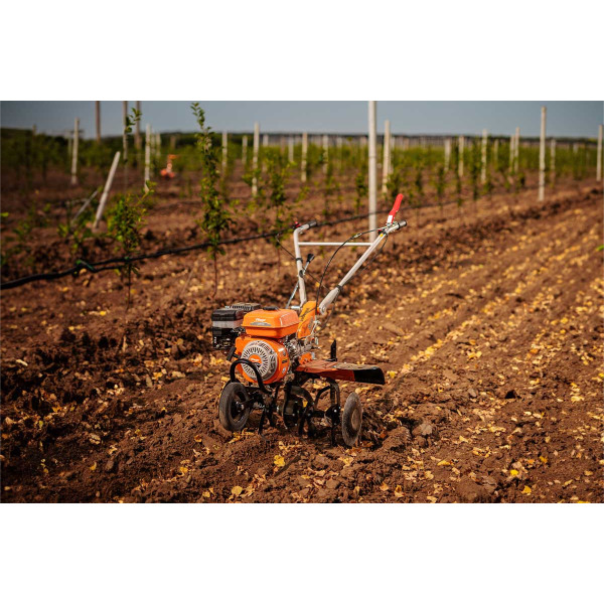 Villager Benzin-Motorhacke - 212 cm³, 85 cm Arbeitsbreite, 6 Messer, 2+1 Gänge, Direktantrieb- VI-086195