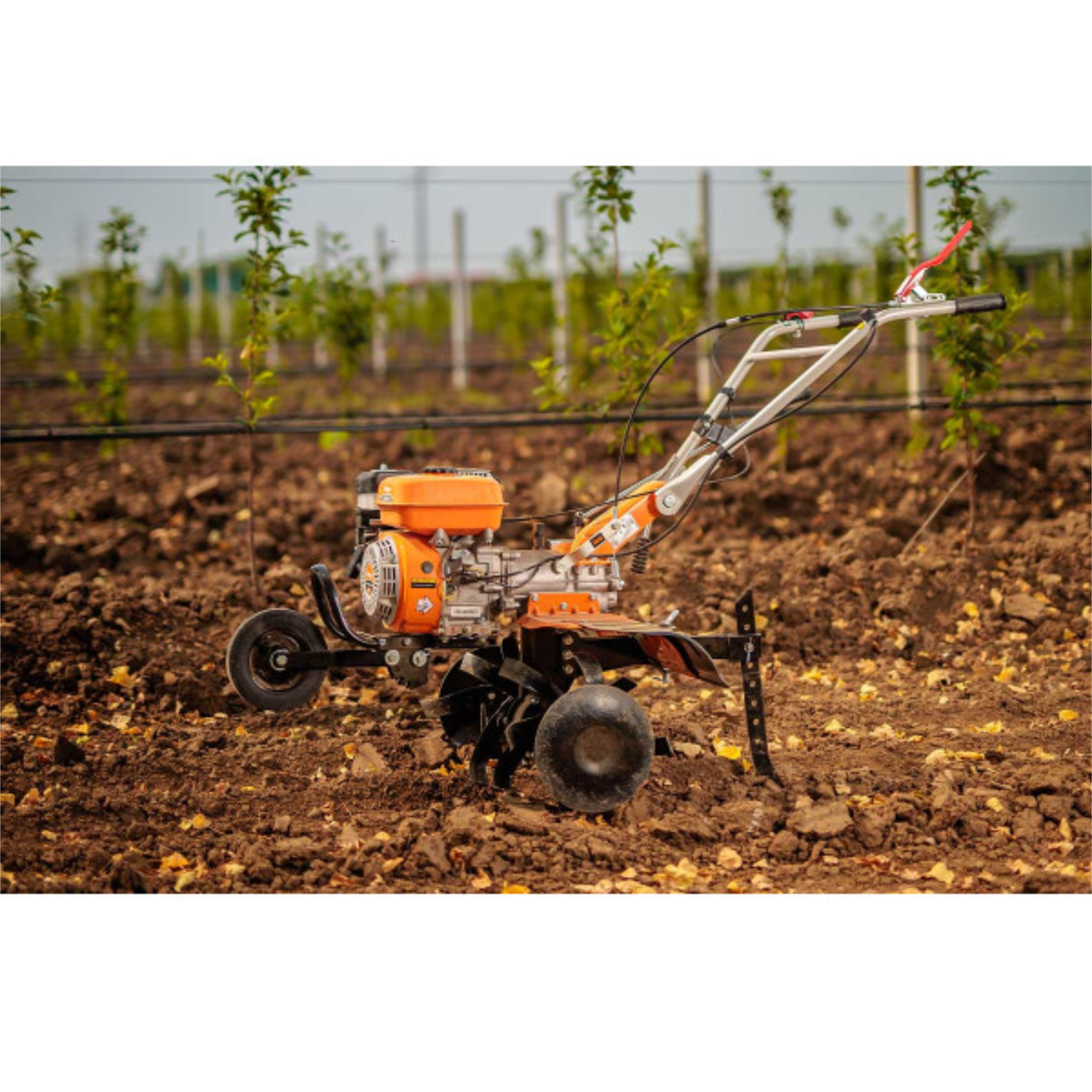 Villager Benzin-Motorhacke - 212 cm³, 85 cm Arbeitsbreite, 6 Messer, 2+1 Gänge, Direktantrieb- VI-086195
