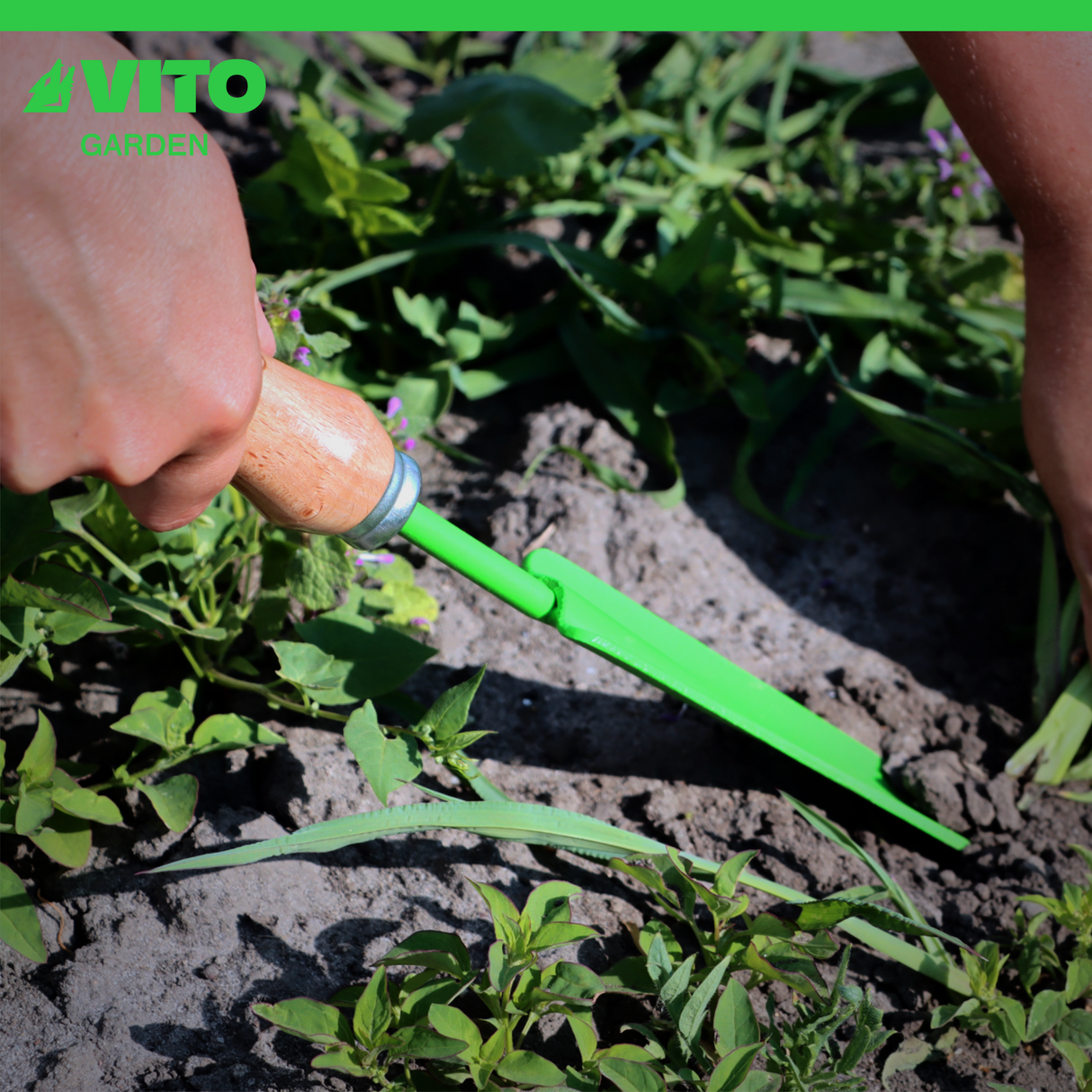 VITO Unkrautstecher aus Stahl - Handgeschmiedet, Buchenholzgriff