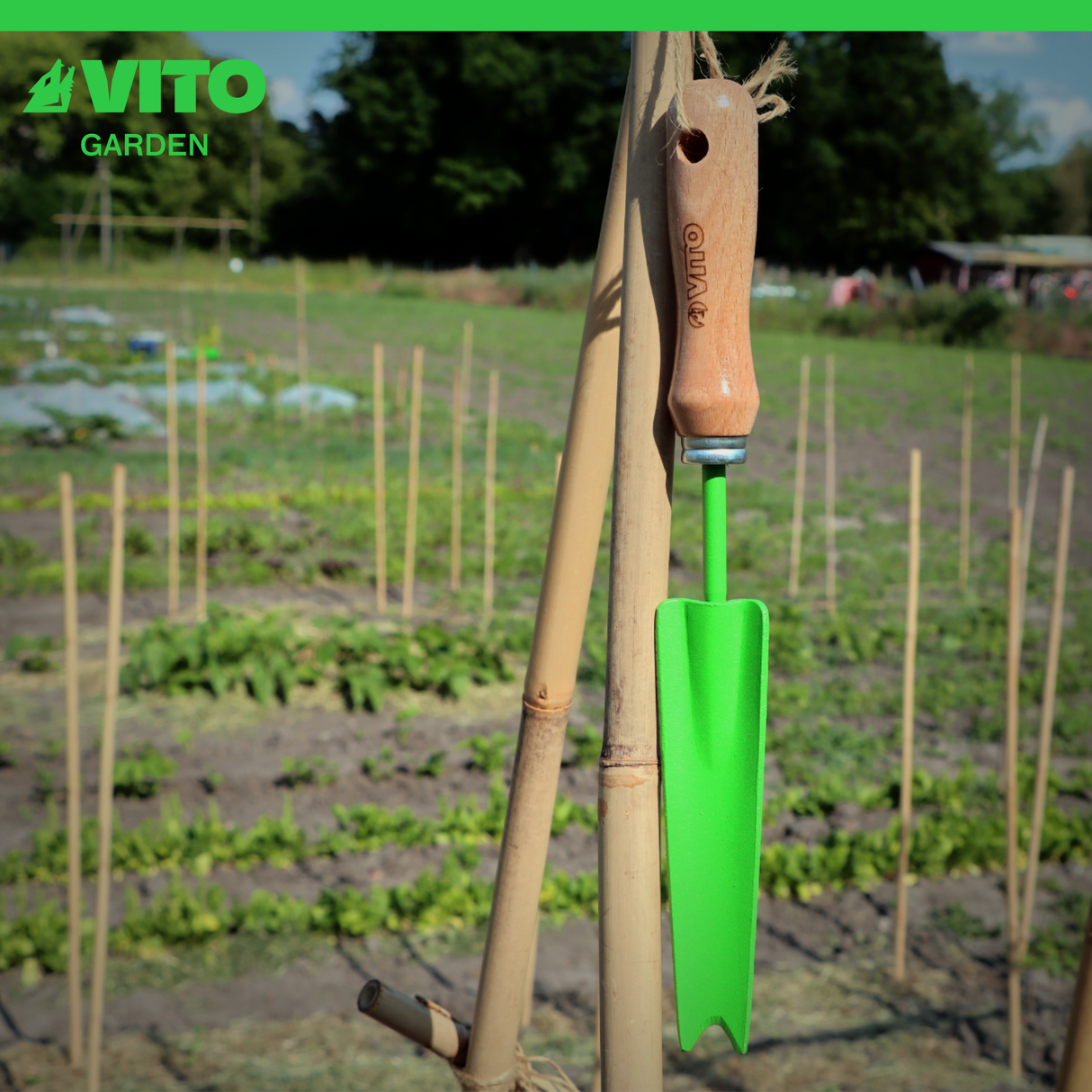 VITO Unkrautstecher aus Stahl - Handgeschmiedet, Buchenholzgriff
