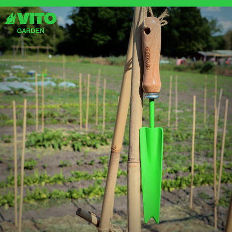 VITO Unkrautstecher aus Stahl - Handgeschmiedet, Buchenholzgriff