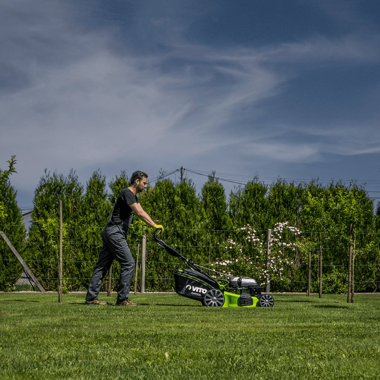 VITO Benzin Rasenmäher mit Antrieb - Test 1.5 Oberklasse Rasenmäher, Nass- & Trockenschnitt - 6,5PS