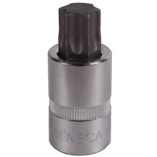Seneca T Profil Einsatz 1/2" 55 mm t40 - 244605540