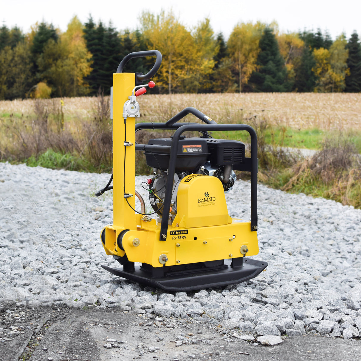 BAMATO Vibrationsplatte R-165RV mit Vor- und Rücklauf