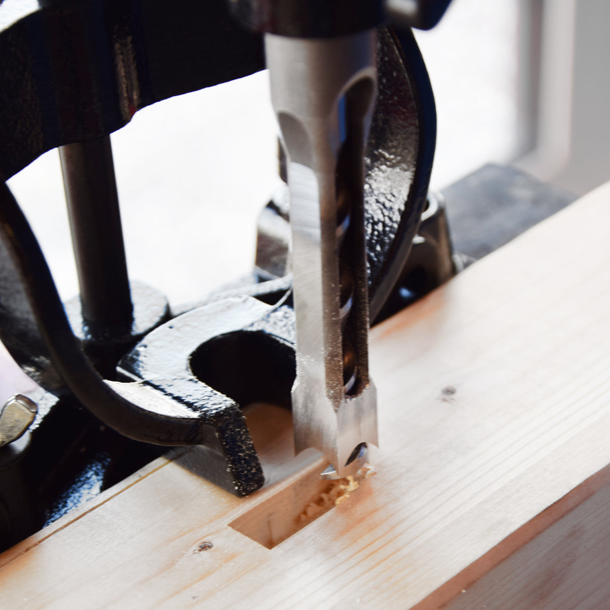 BAMATO Aufsatz für Stechbohrer STM-65 inkl. 4x Stechbohrer