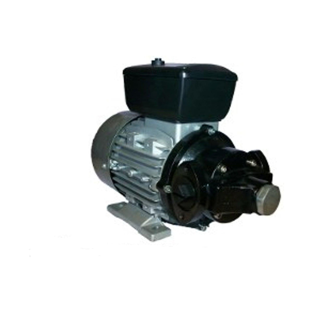 FUELWORKS Dieselpumpe 230V - 1100Watt, 120L/min Durchfluss, 2bar Druck - DP120V220 - Tools.de TP Profishop GmbH