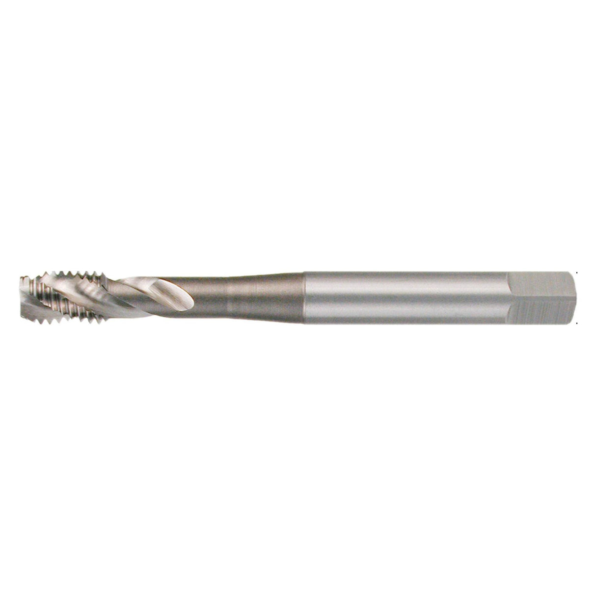 Labor Maschinengewindebohrer Sacklöcher M3 HSS 5% Kobalt DIN371C -SR234030 - Tools.de TP Profishop GmbH