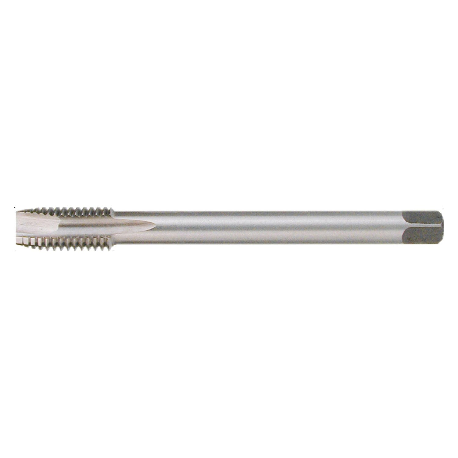 Maschinengewindebohrer Sacklöcher M36 HSS 5% Kobalt DIN376C - Tools.de TP Profishop GmbH