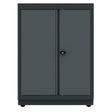 TOOLBOX4YOU Unterschrank 2 Türen Expert BG62D2 - Tools.de TP Profishop GmbH